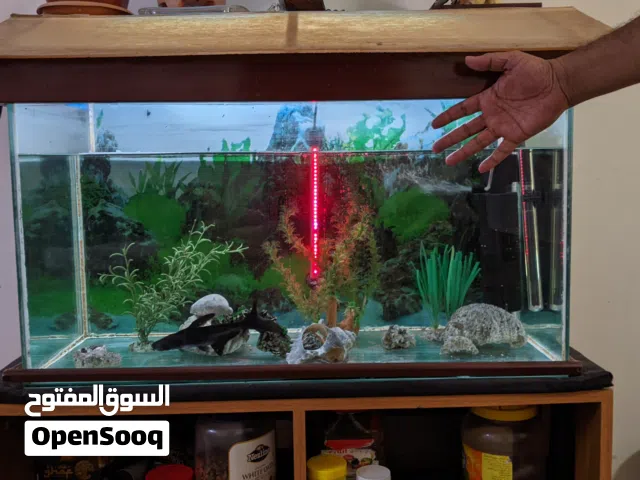 Fish Tank for Sale