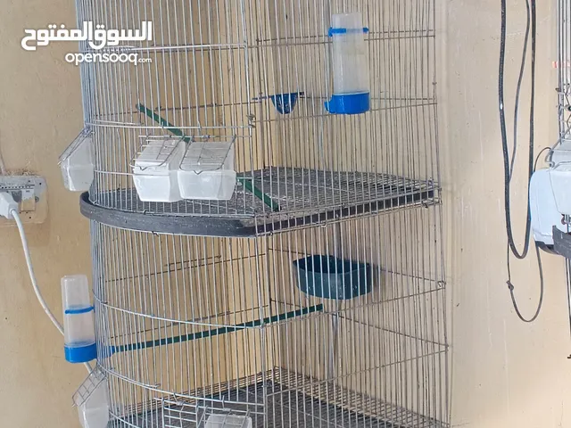 قفص عرض طيور تفصيل