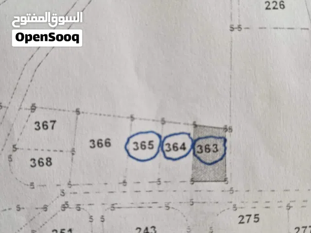 ثلاث قطع أراضي - بيرين - حوض القصبات