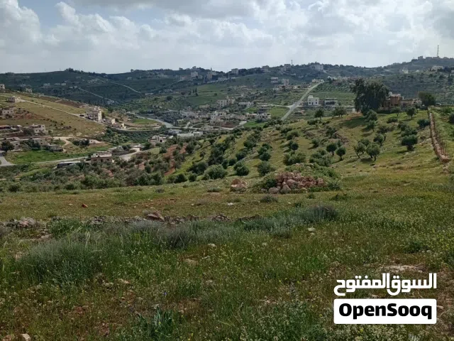 قطعة ارض في رجم الشوف مرتفعة و مميزة