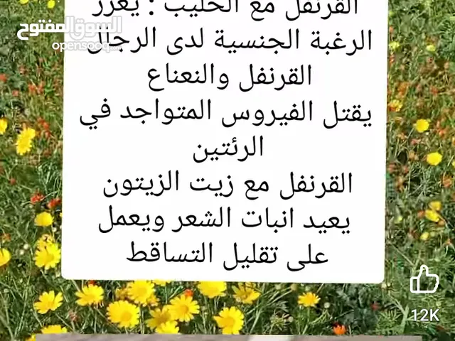 مدفأة كهربائيه على شكل رديتر