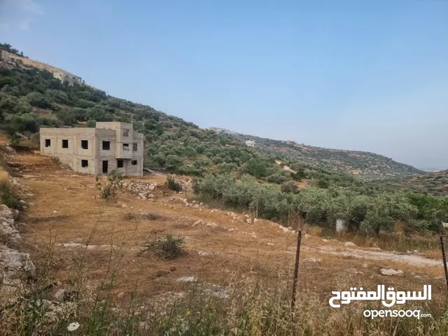 فرصة ارض للبيع بسعر مغري في طولكرم