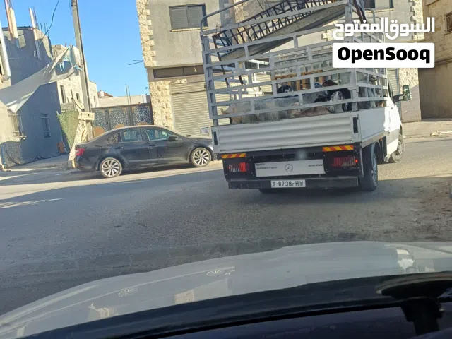 المالك  ابو ايمن