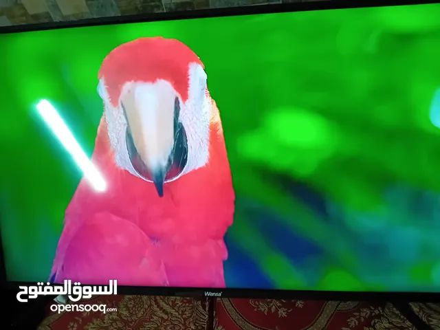 Wansa LED 43 inch TV in Zarqa