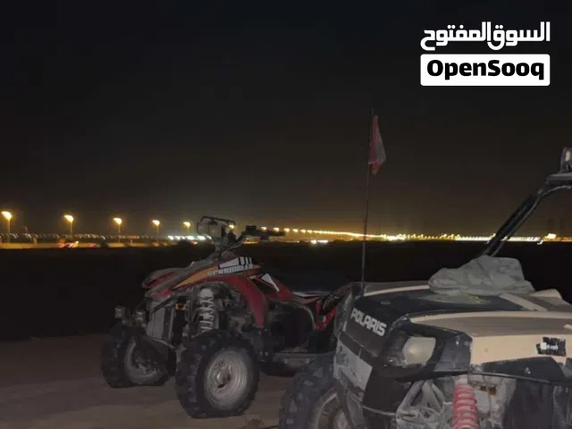 2010 بولاريس اخرى