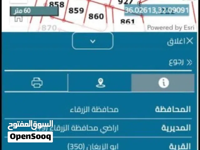 ارض للبيع في الزرقاء ابو الزيغان حوض صقله