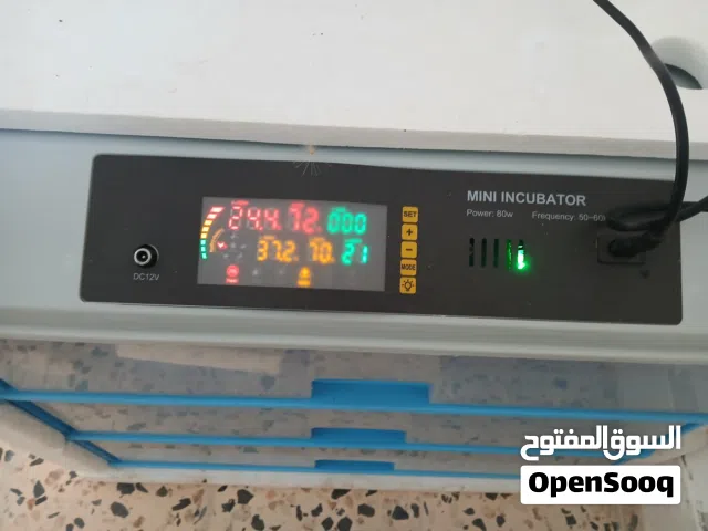 فقاصة دجاج