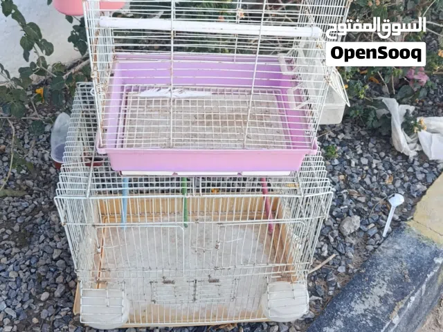 قفاص عصافير