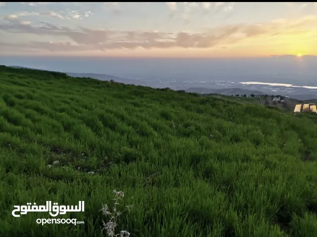 قطعة ارض مميزه للبيع بالسلط المغاريب مرتفعه مطله على الاغوار وجبال فلسطين الحبيبه
