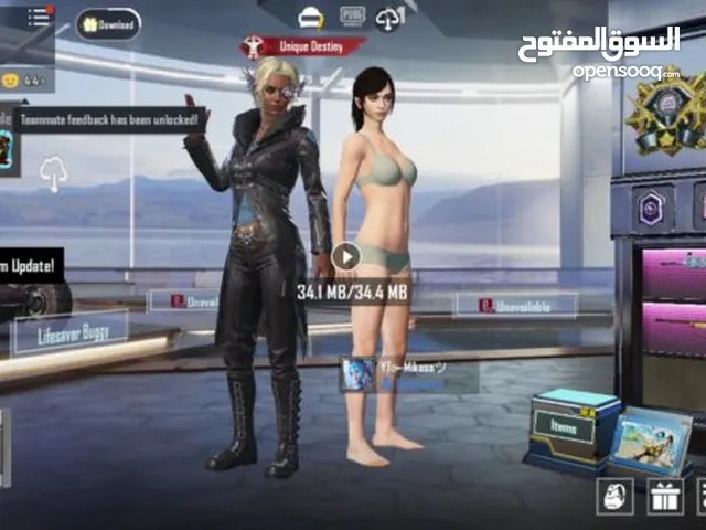 Pubg Accounts and Characters for Sale in Basra