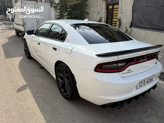 جاجر 16 البيع