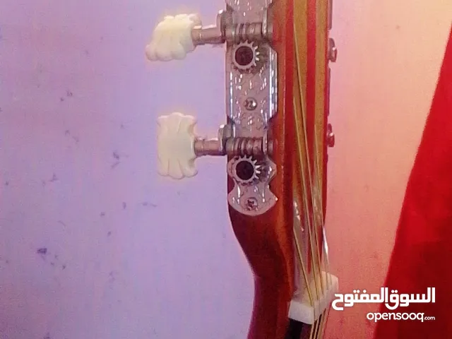 جيتار تعليمي مع ريشه