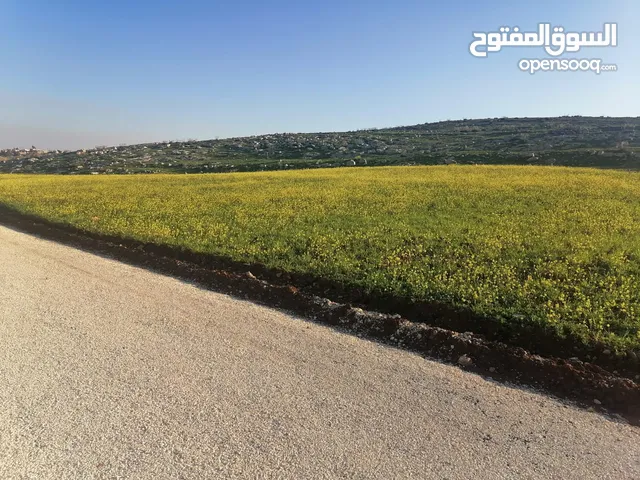 Mixed Use Land for Sale in Madaba Mai'n