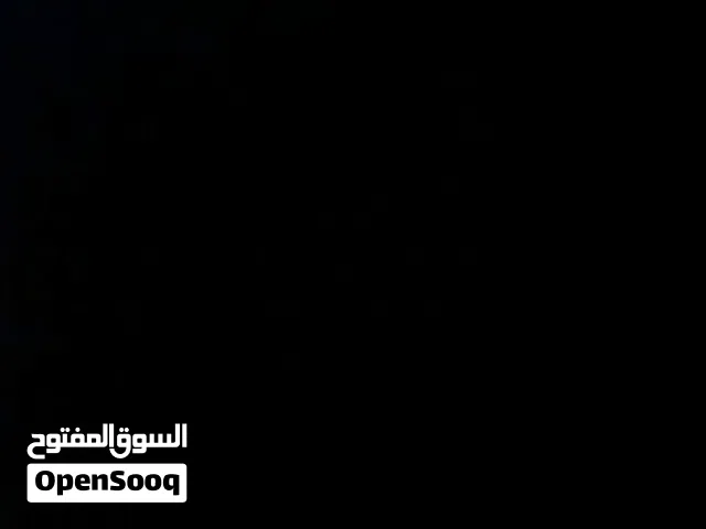مطلوب نعاج والدات تحتهم خرفن او خرفن عمر شهرين