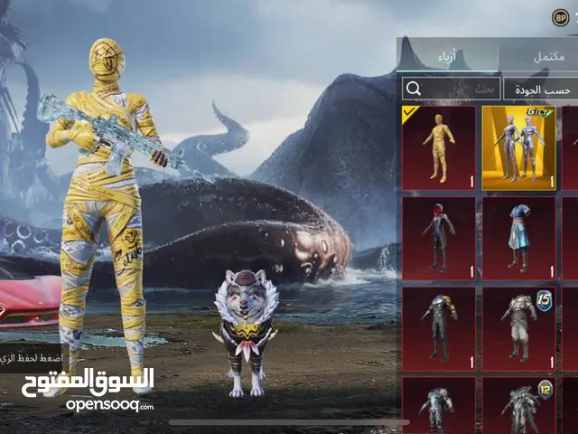 Pubg Accounts and Characters for Sale in Jumayl