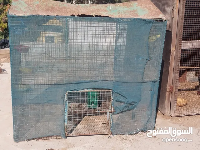 محاكر وقفص