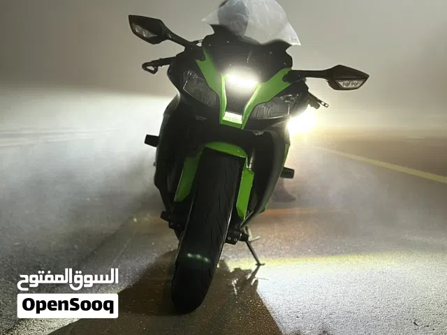 2013 Kawasaki Ninja 1000 ABS