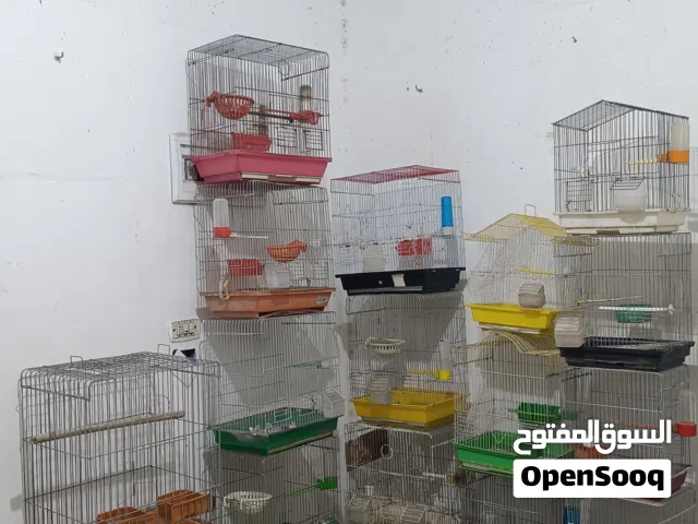 كوم قفاص حب و كنار و قفص كوكتيل و مطير ثمن معالف