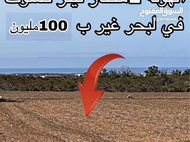 Hectar titré à vendre sidi Rahhal