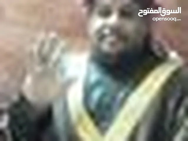 الشاعر ابورويعي الغرابلي