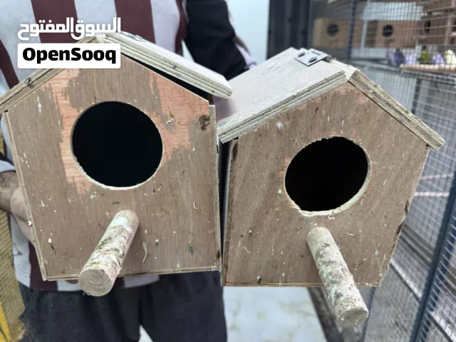 للبيع محاكر وبيوت طيور خشبية مستعملة لفترة قصيرة