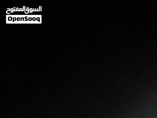 مطلوب كلب للتبني في مصراتة