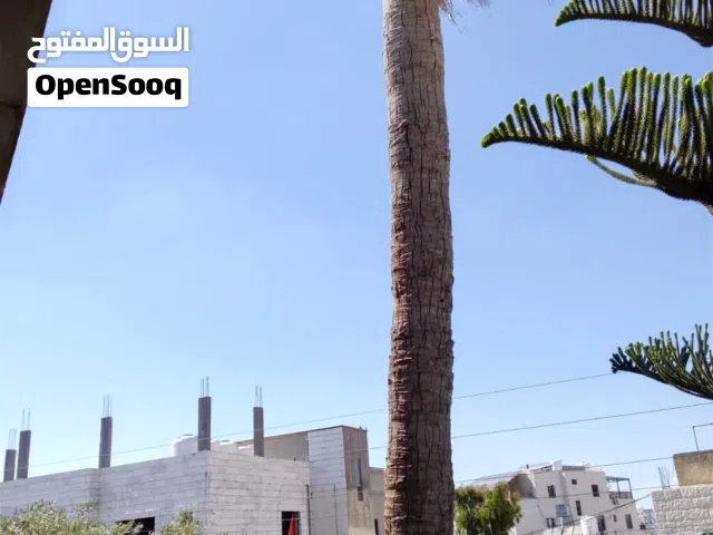 230 m2 4 Bedrooms Apartments for Rent in Madaba Madaba Center