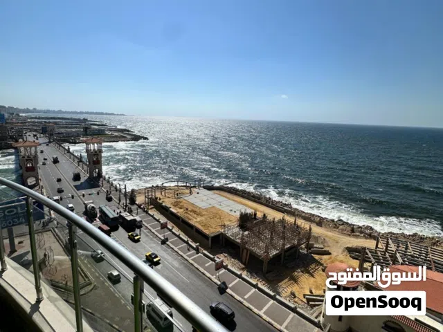 شقق فندقيه في جميع مناطق اسكندريه