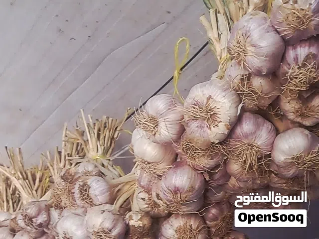 ثوم عماني جوده عاليه  سعر الكيلو 2.5 انتاج السنه [ علاج / أكل / زراعه ]