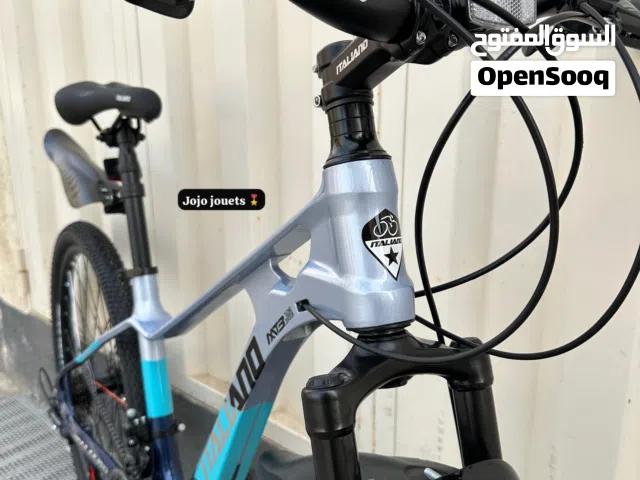 Vélo MTB ITALIANO