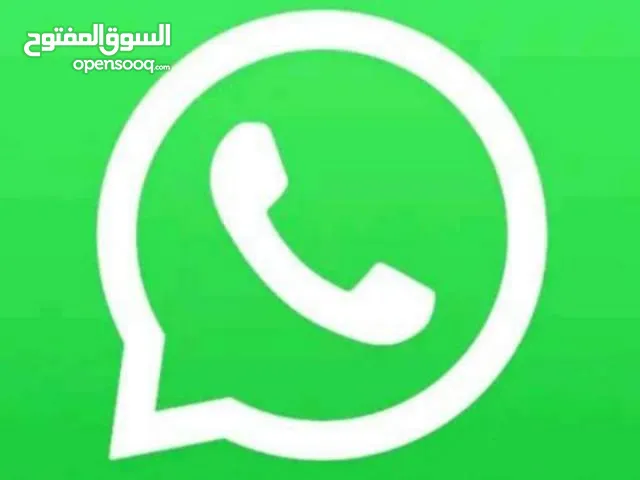 فراخ مجريد للبيع في الزرقاء عدد 11 كشهم بيدك للتواصل واتس