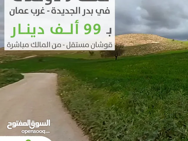 Farm Land for Sale in Amman Badr Jdedeh