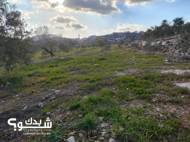 Mixed Use Land for Sale in Tulkarm Illar