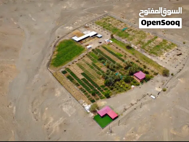 مزرعة خضراء للبيع