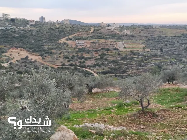 Residential Land for Sale in Ramallah and Al-Bireh Kaubar