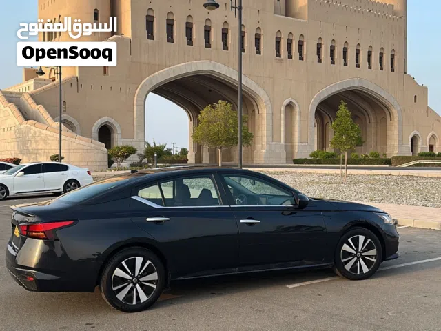 التيما مديل 2022