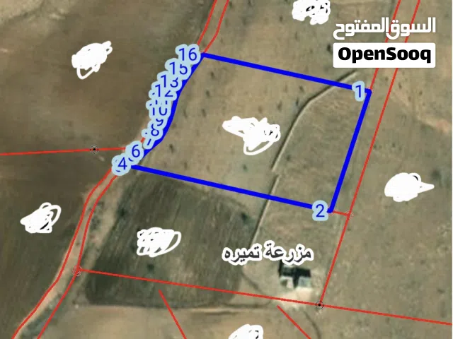 Farm Land for Sale in Irbid Other