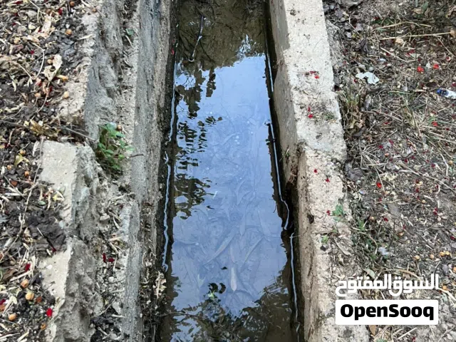 Mixed Use Land for Sale in Jerash Unaybah
