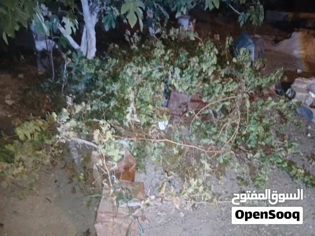 تحاويل دوالي للبيع طول من مترين ل ثلاث متر