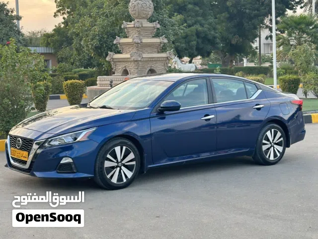 التيماء تسجيل جديد