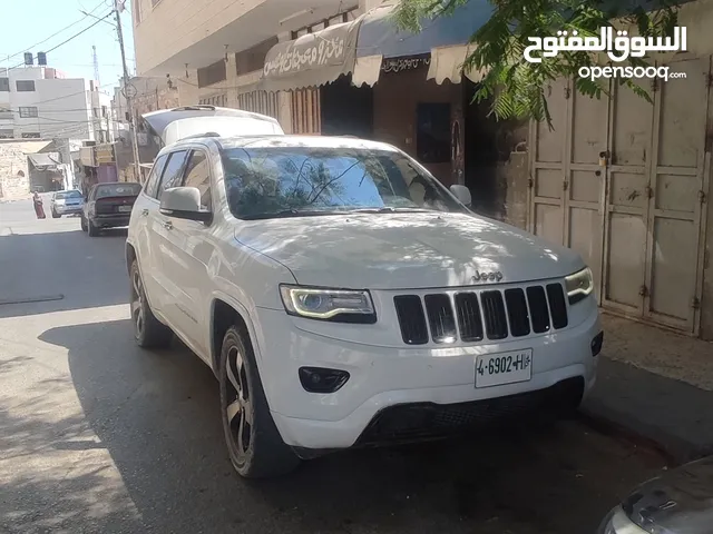 جيب فل كرتونه