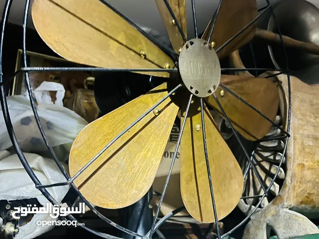 Antique singer fan