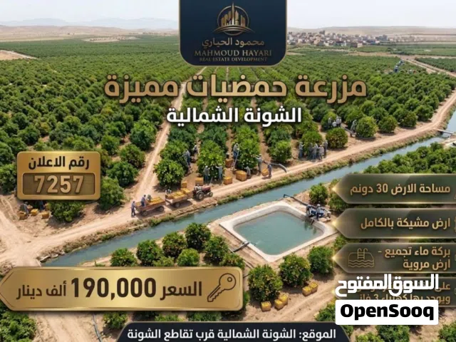 Farm Land for Sale in Irbid North Shuna