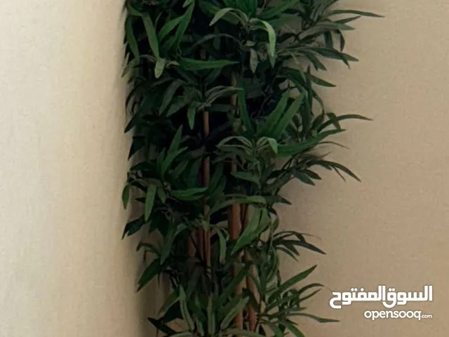 شجرة اصطناعية جديدة