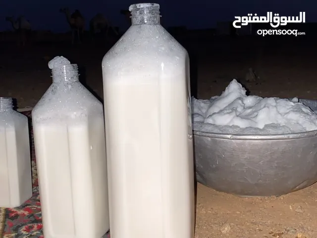 حليب ابل طازج