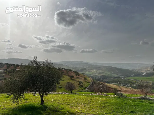 Farm Land for Sale in Zarqa Al-Alouk