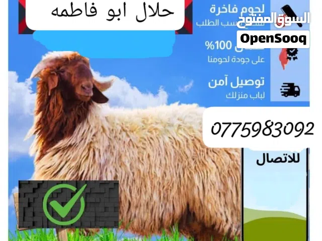 عرووووض بأسعار خياليه عقايق وانذار وفدوى
