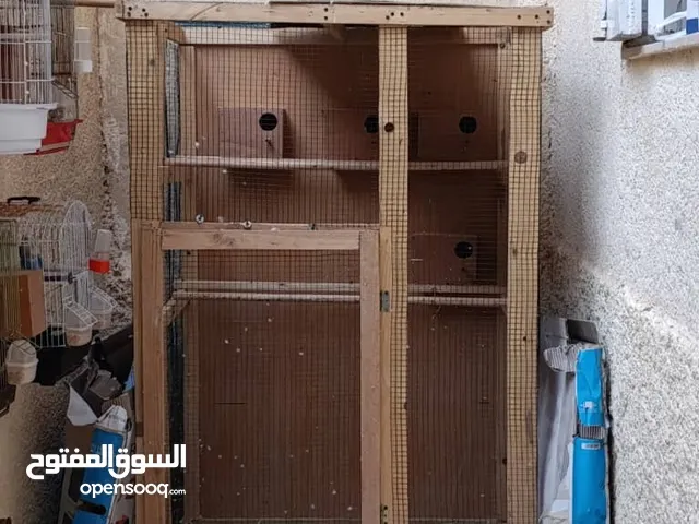 قفص خشبي للعصافير الله يبارك