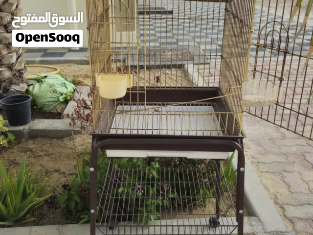 مجموعة اقفاص بسعر كلي 250