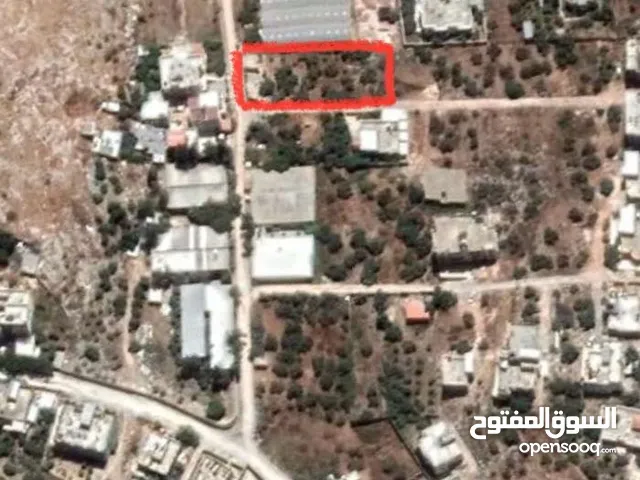 Mixed Use Land for Sale in Tulkarm Iktaba